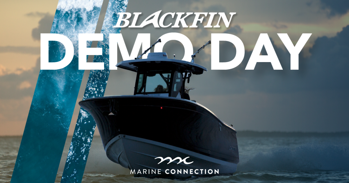 Blackfin Demo Day